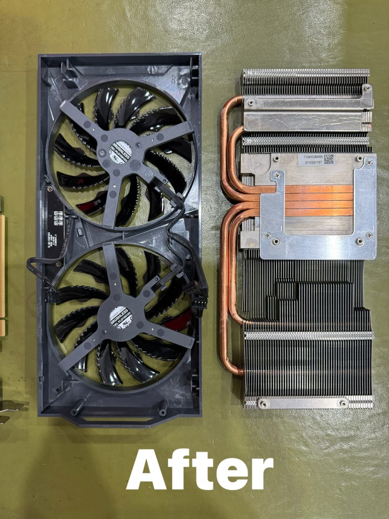GPU fans completely clean after service
